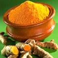 Curcuma longa
